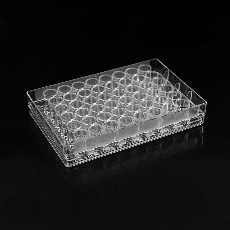 48 Well Cell Culture Plate with Lid
